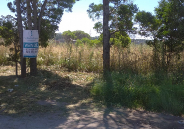 Lote en venta de 16 x 24mts - Barrio Los Acantilados - Mar Del Plata